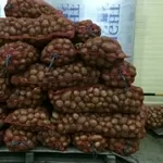 Реализуем картофель 2015 года